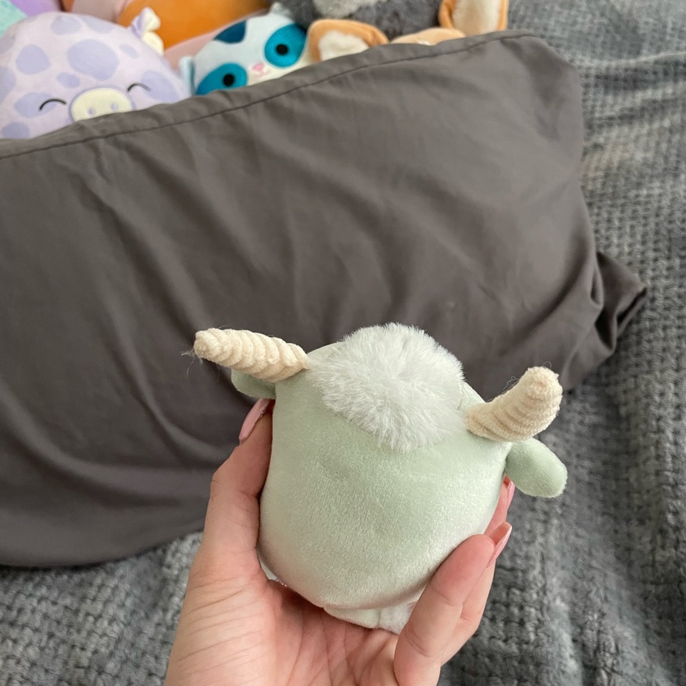 Mini Squishmallow - Picture 7 of 7